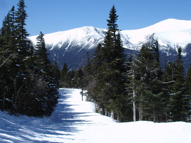 The Upper Wildcat Trail at Wildcat Mountain ski area in Pinkham Notch, New Hampshire